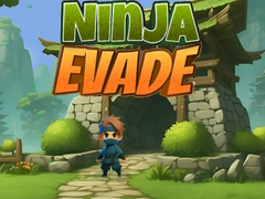 Žaidimas Ninja Išvengti internete