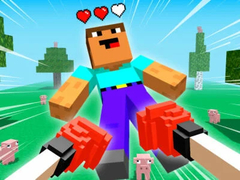 Žaidimas Visiškai Sugriauk Noobą! internete