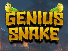 Žaidimas Genialus Gyvatė internete