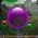 Burbulai  internete